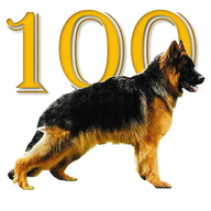 App-Icon