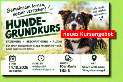 neues Kursangebot