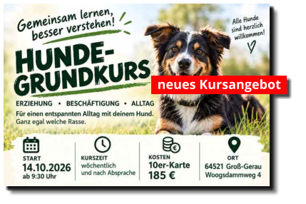 neues Kursangebot
