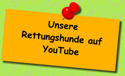Unsere  Rettungshunde auf YouTube