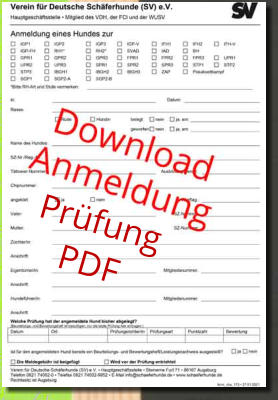 Prüfung PDF