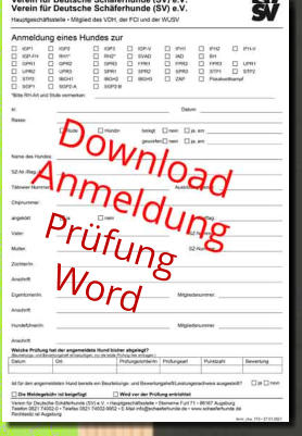 Prüfung Word